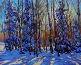 PAST MASTERCLASS -  Mastering Acrylics with David Langevin - Nov 11th - 12th 2017